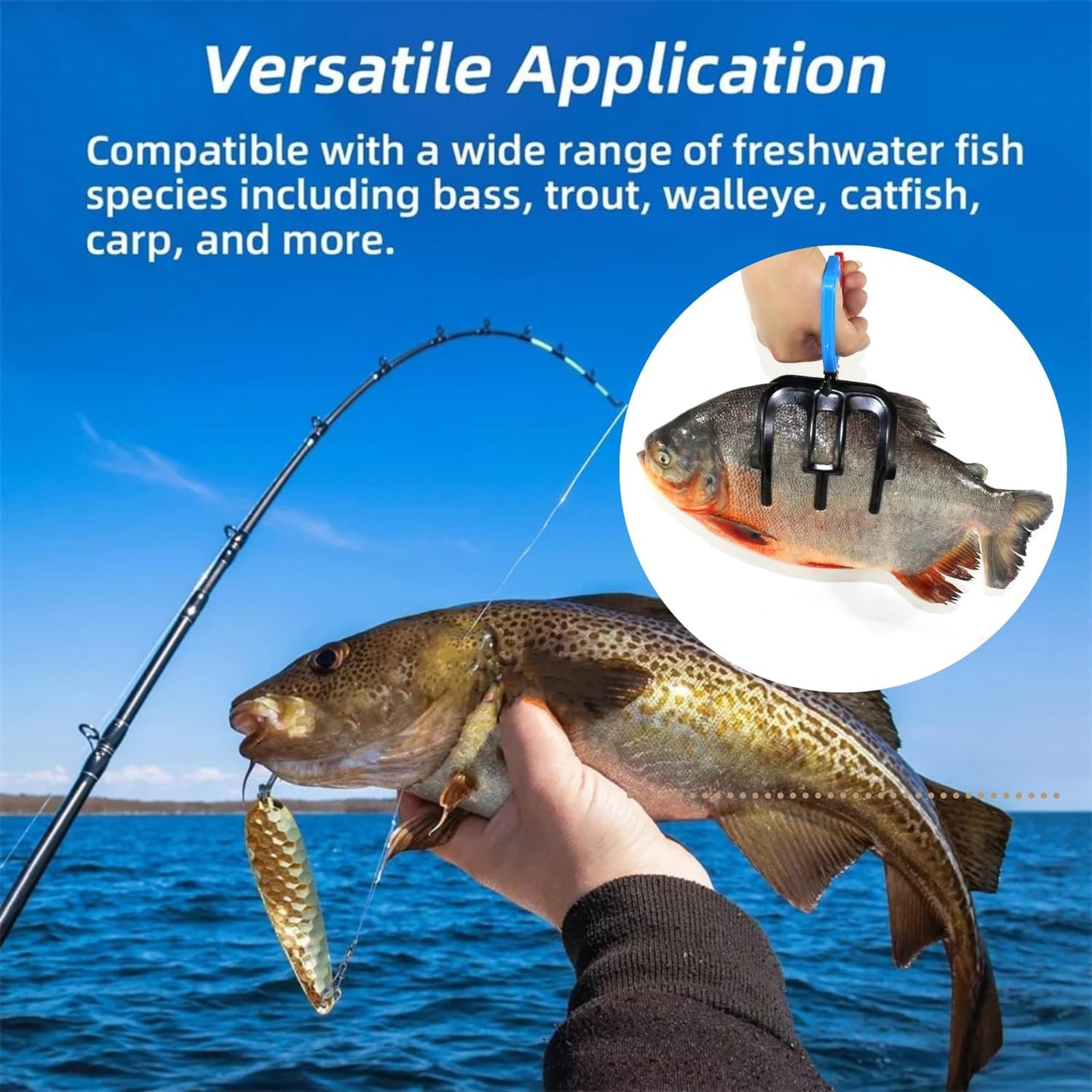 🐟🐟Fischgreifer mit Krallen – Fischgreifer mit 2 oder 3 Krallen