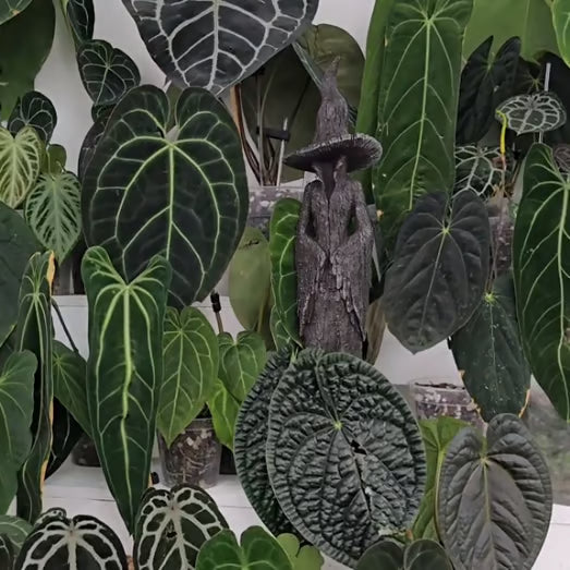 🧙‍♀️Mystische Wächterin - Handbemalte Magierfigur