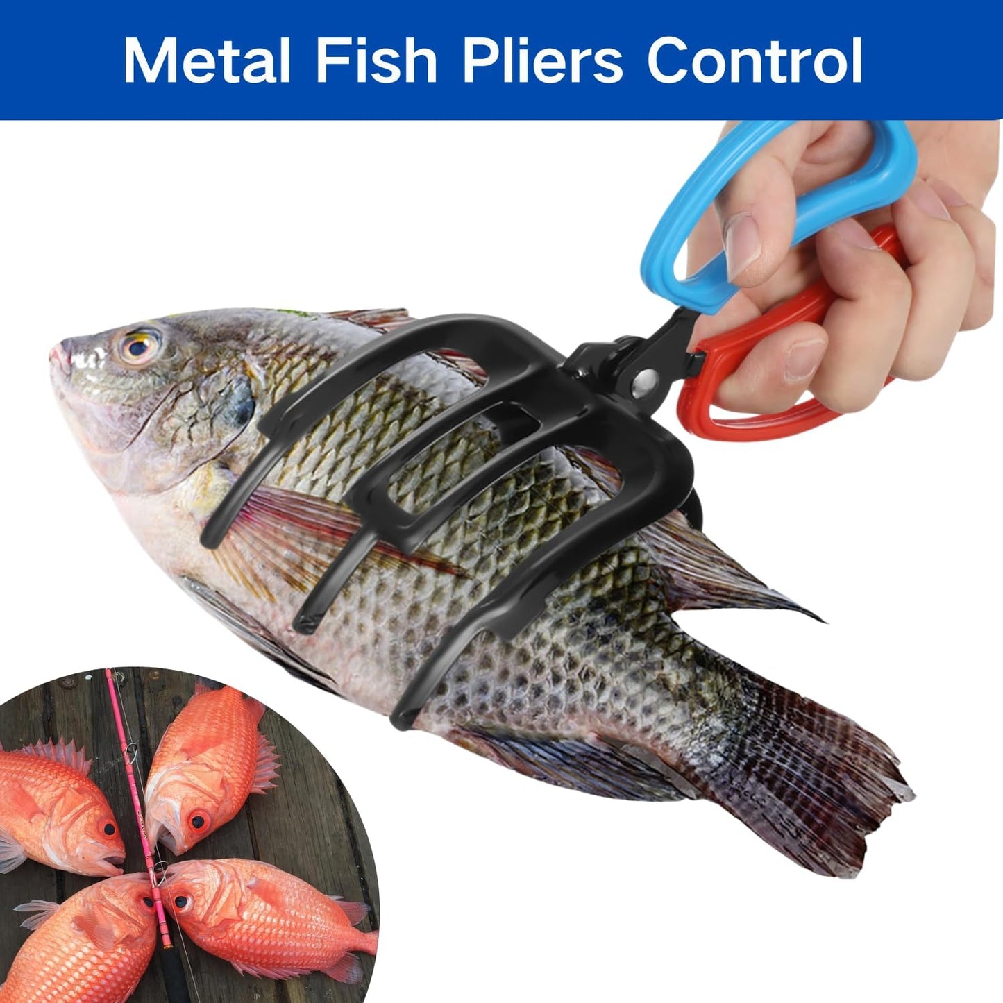 🐟🐟Fischgreifer mit Krallen – Fischgreifer mit 2 oder 3 Krallen